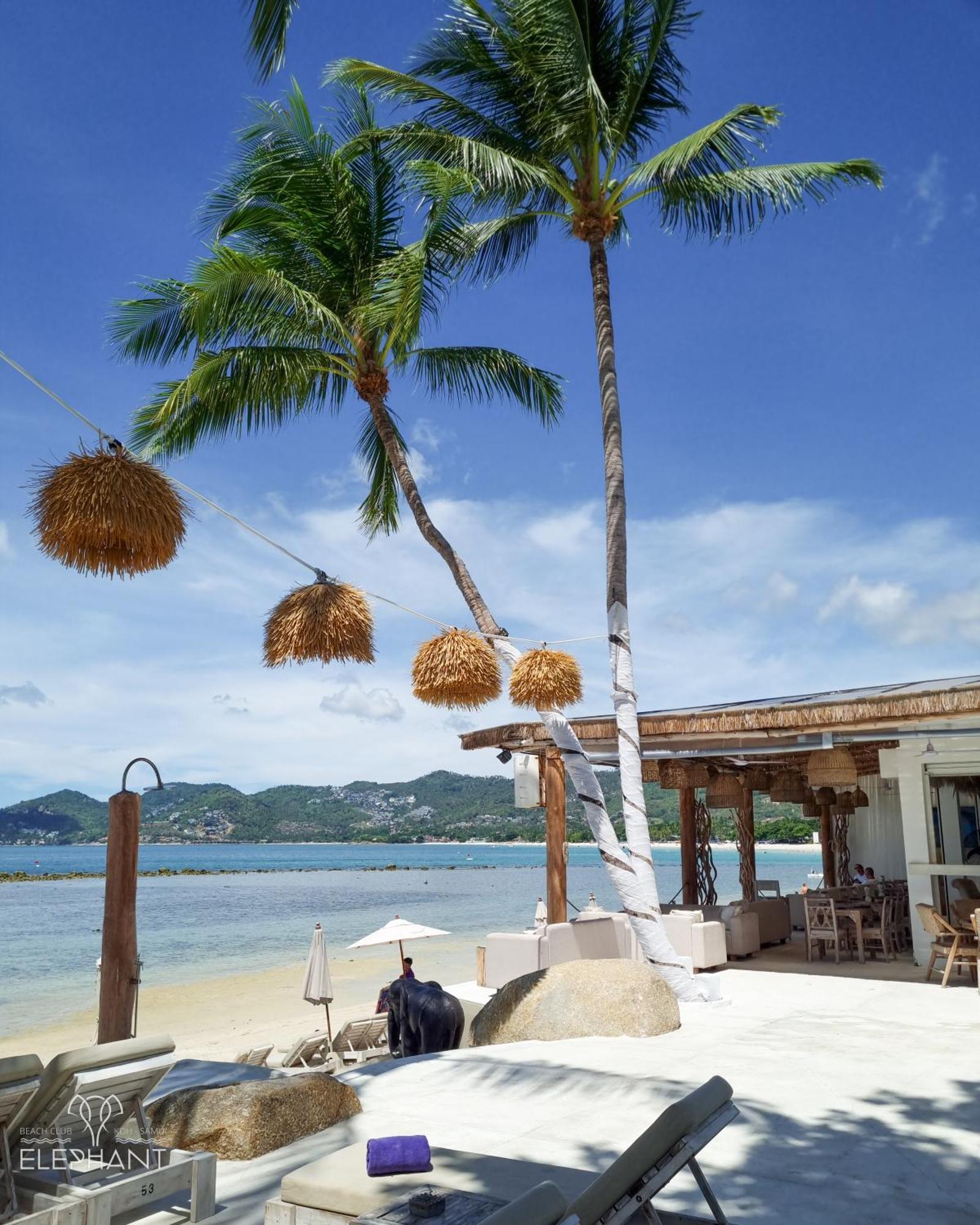 Elephant Beach Club & Resort Samui Chaweng  Zewnętrze zdjęcie